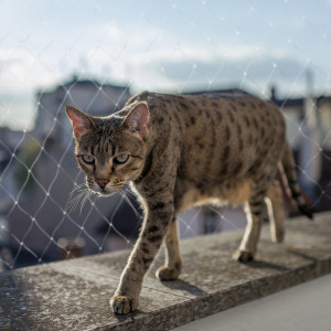 Duvo+ Balcony Safety Net - balkona aizsargtīkls kaķiem 3x2m