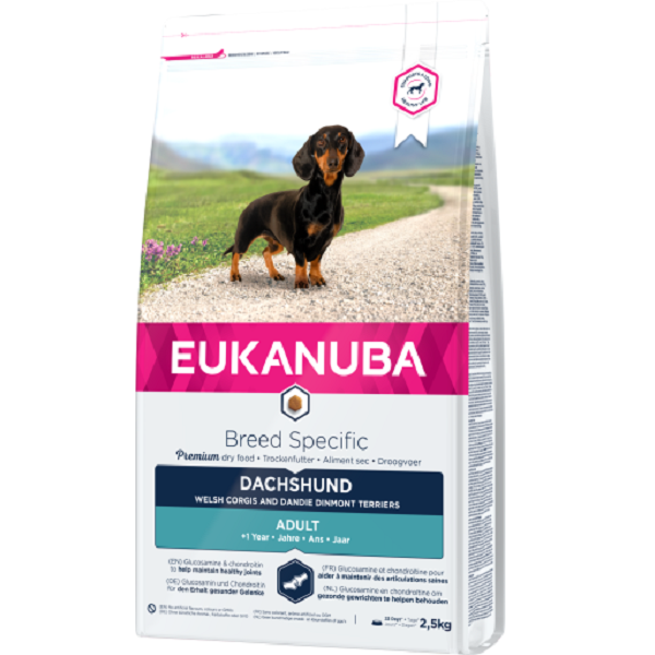 eukanuba dachshund food