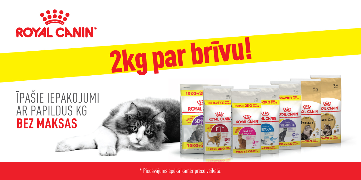 royal canin persian 10kg