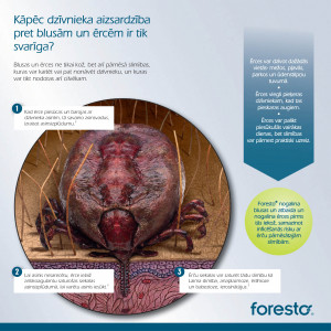 Foresto 4,50 g + 2,03 g pret ērcēm/ blusām kakla siksna lieliem suņiem (no 8 kg) 70cm x 3 gab.