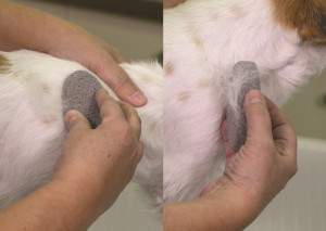Second Choice Groom Stone Oval Grey 8,5x4,9x2cm 1+1 free - apmatojuma skulpturēšanas akmens