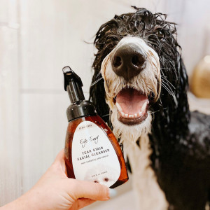 Eye Envy Tear Stain Facial Cleanser for Dogs and Cats 250 ml (8.45oz)