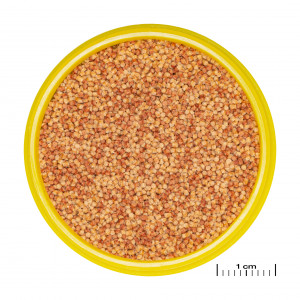 JBL PRONOVO COLOR GRANO S 100ml