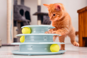 Beeztees Play Tower KITTEN FUN - spēļu tornis