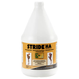 TRM Stride Ha Solution 3.75l