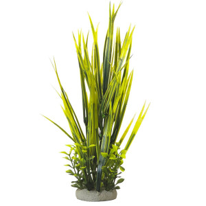 NOBBY Akvārija dekors "VALLISNERIA"